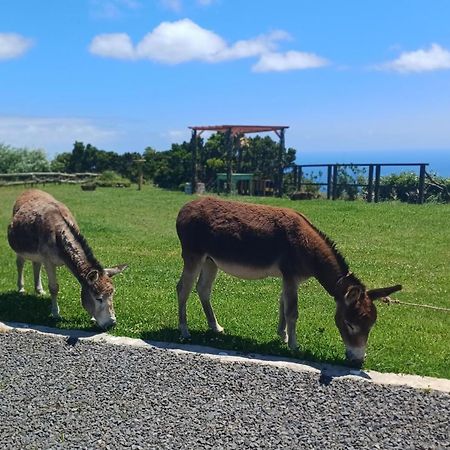 Casita - Cantinho Do Paraiso Vila do Porto Εξωτερικό φωτογραφία