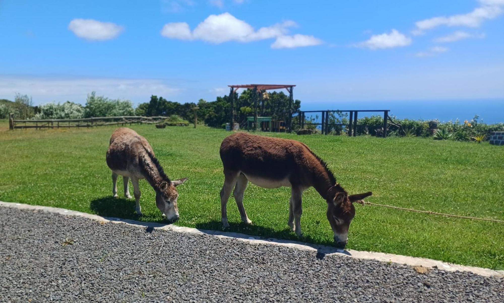 Casita - Cantinho Do Paraiso Vila do Porto Εξωτερικό φωτογραφία